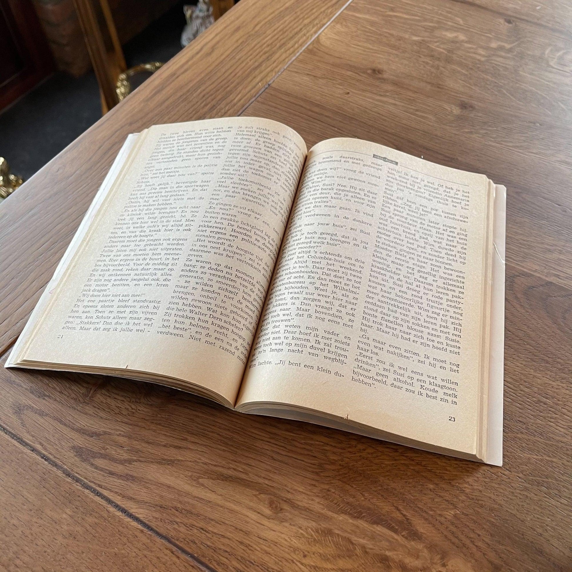 Dokters roman - Bamestra Curiosa