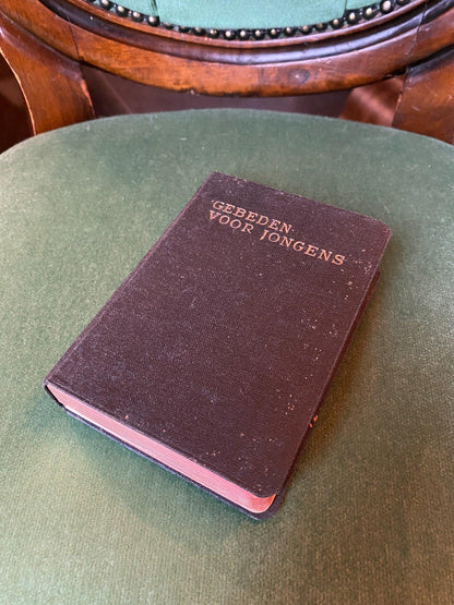 Gebeden voor jongens - Bamestra Curiosa