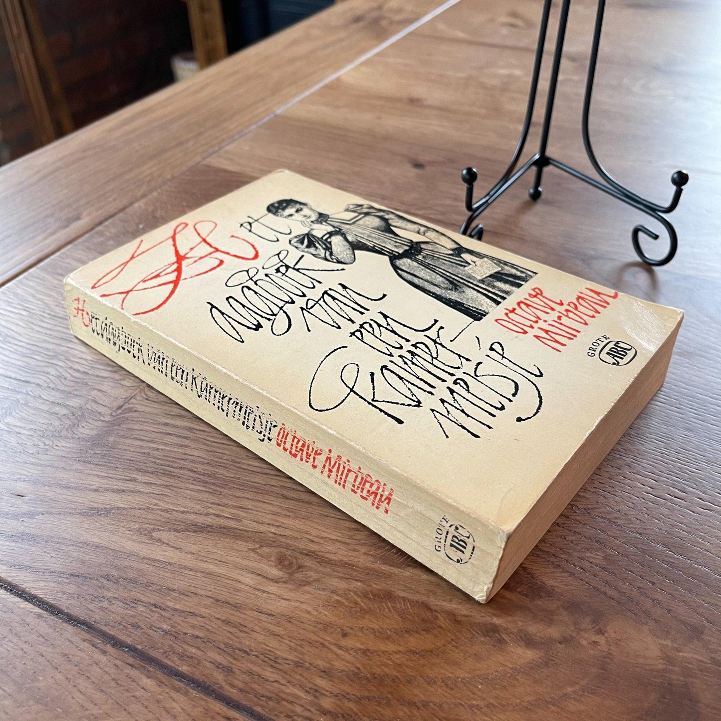 Het dagboek van een kamer meisje - Bamestra Curiosa