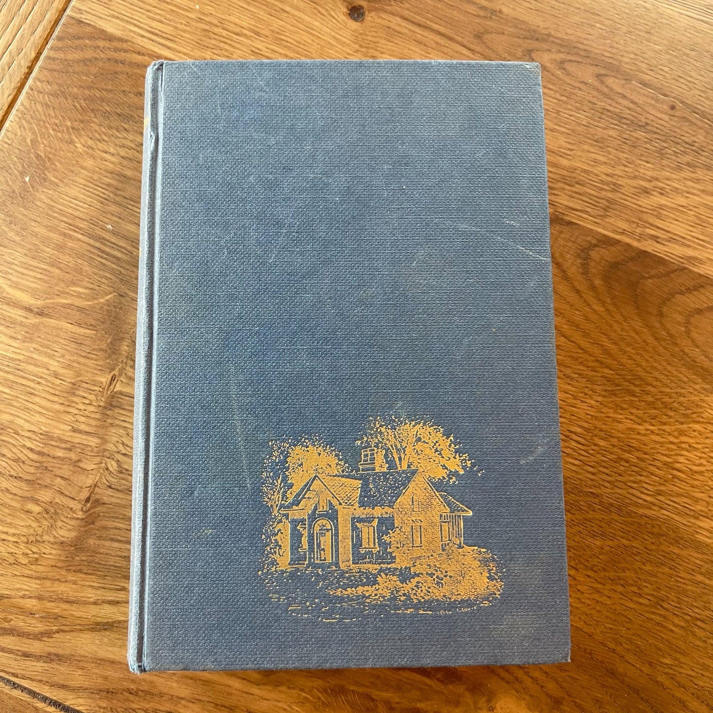 Het goddeloze veer - dans op de oever - Bamestra Curiosa