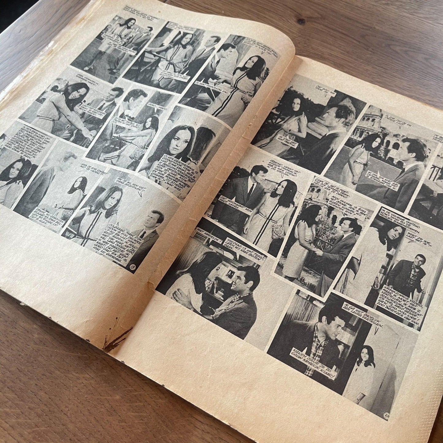 Hostes liefde door angst - Bamestra Curiosa