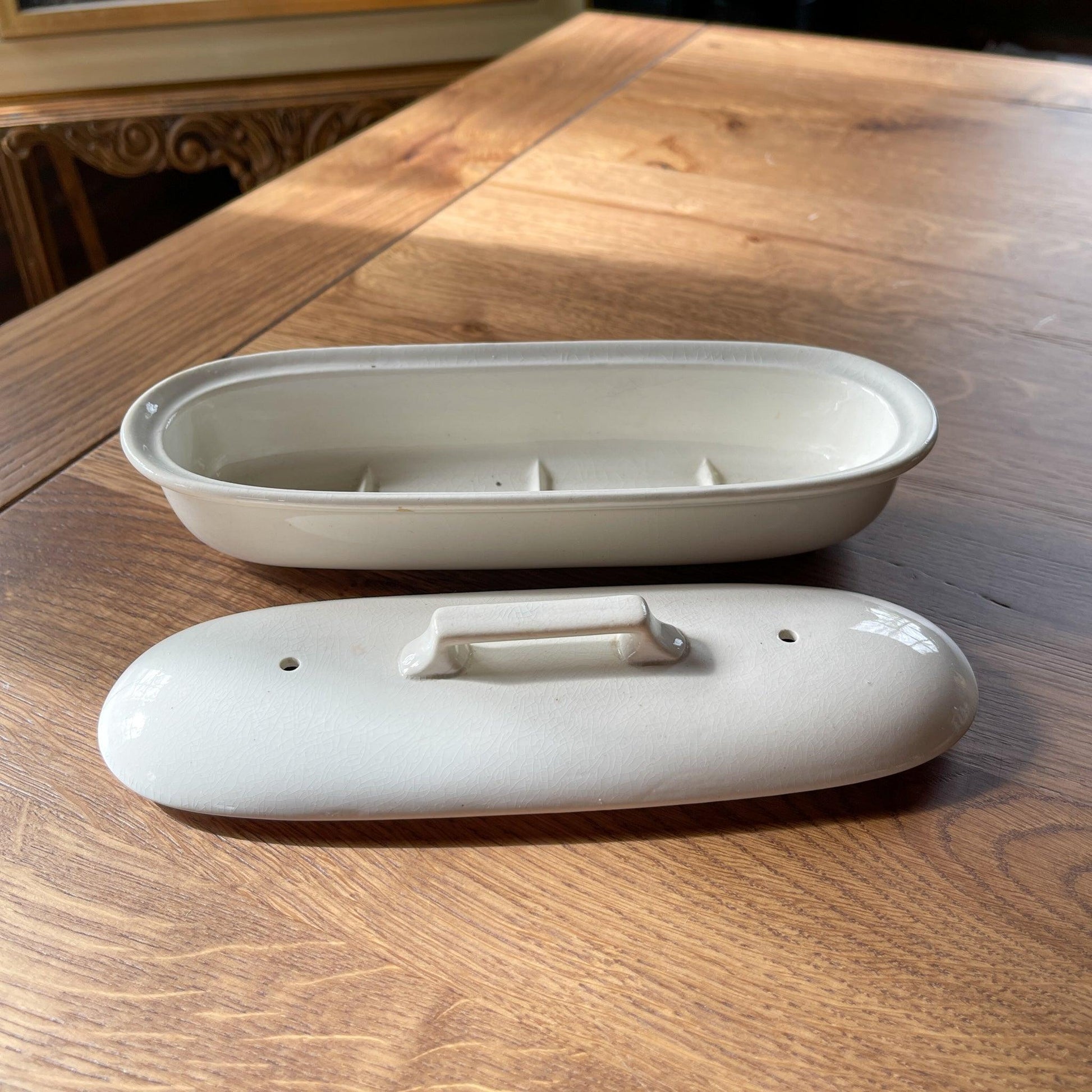 Kammen bakje - Bamestra Curiosa