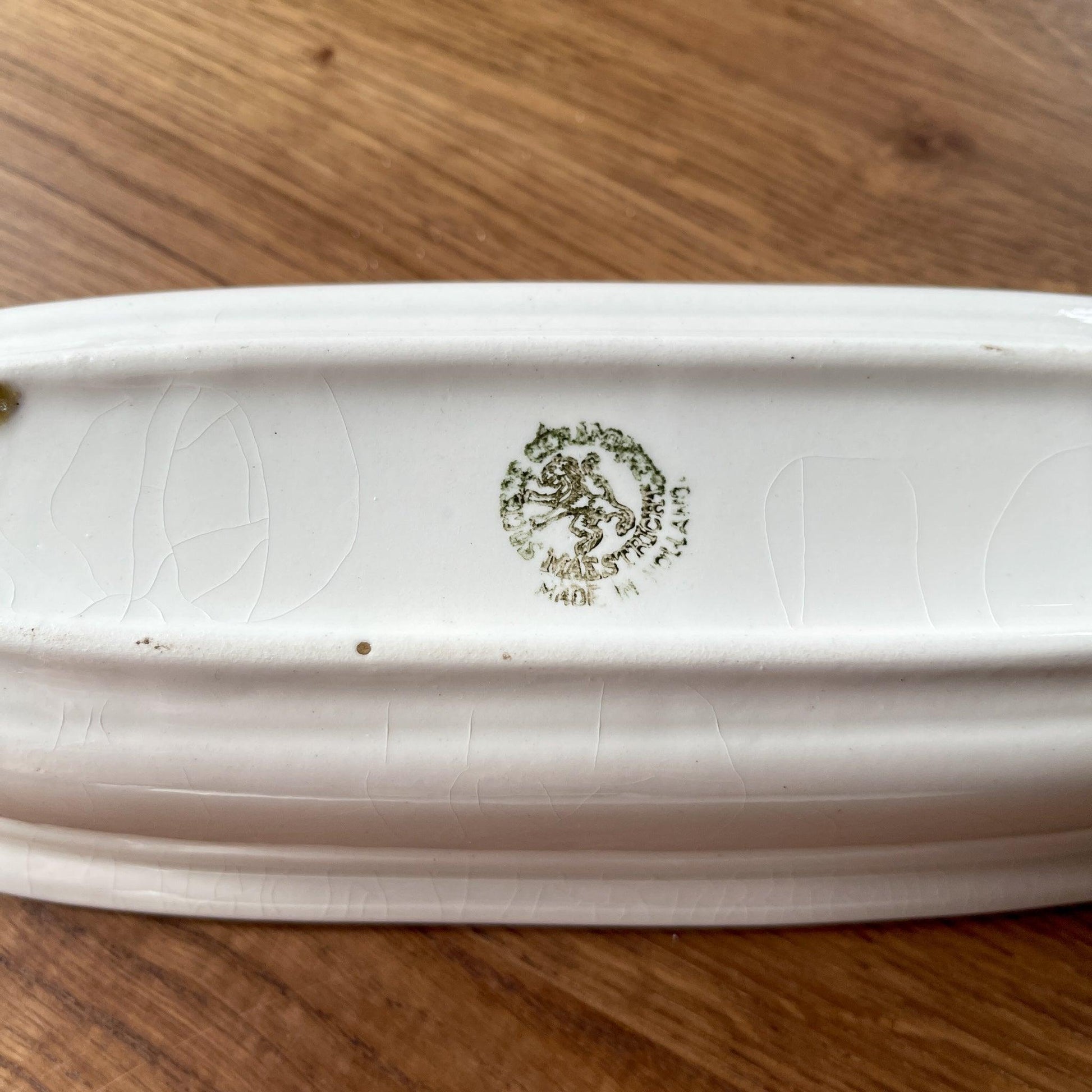 Kammen bakje - Bamestra Curiosa