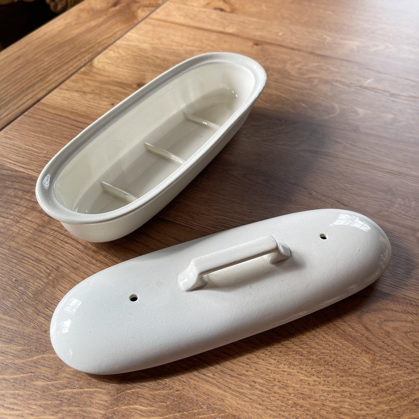 Kammen bakje - Bamestra Curiosa