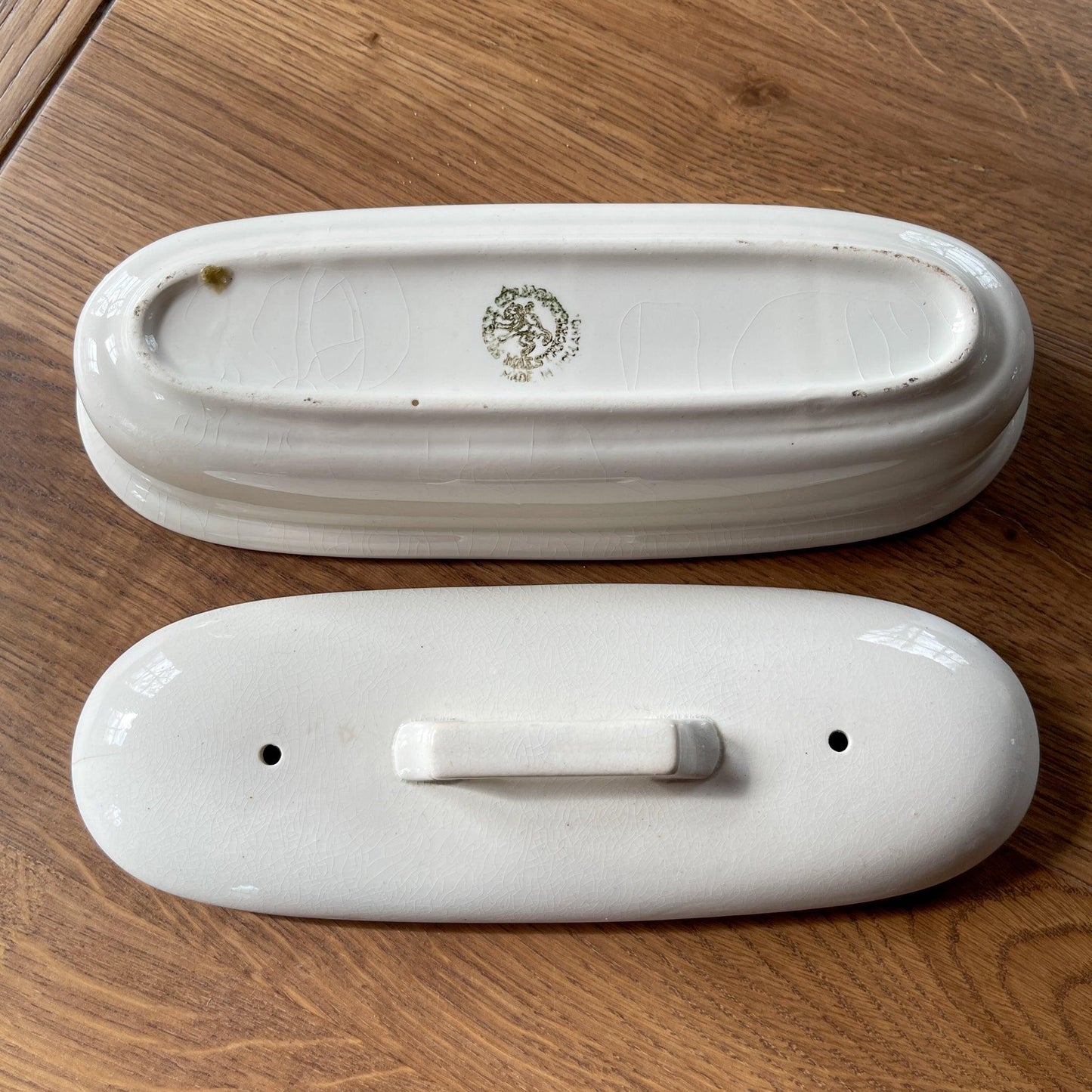 Kammen bakje - Bamestra Curiosa