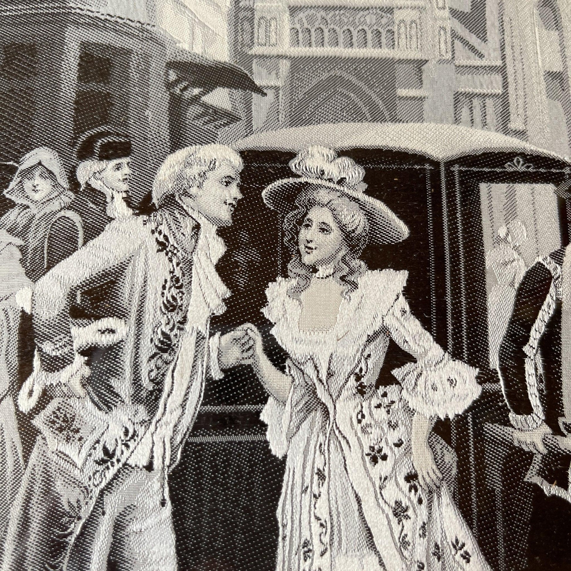 Lijstje met afbeelding van stof - Bamestra Curiosa