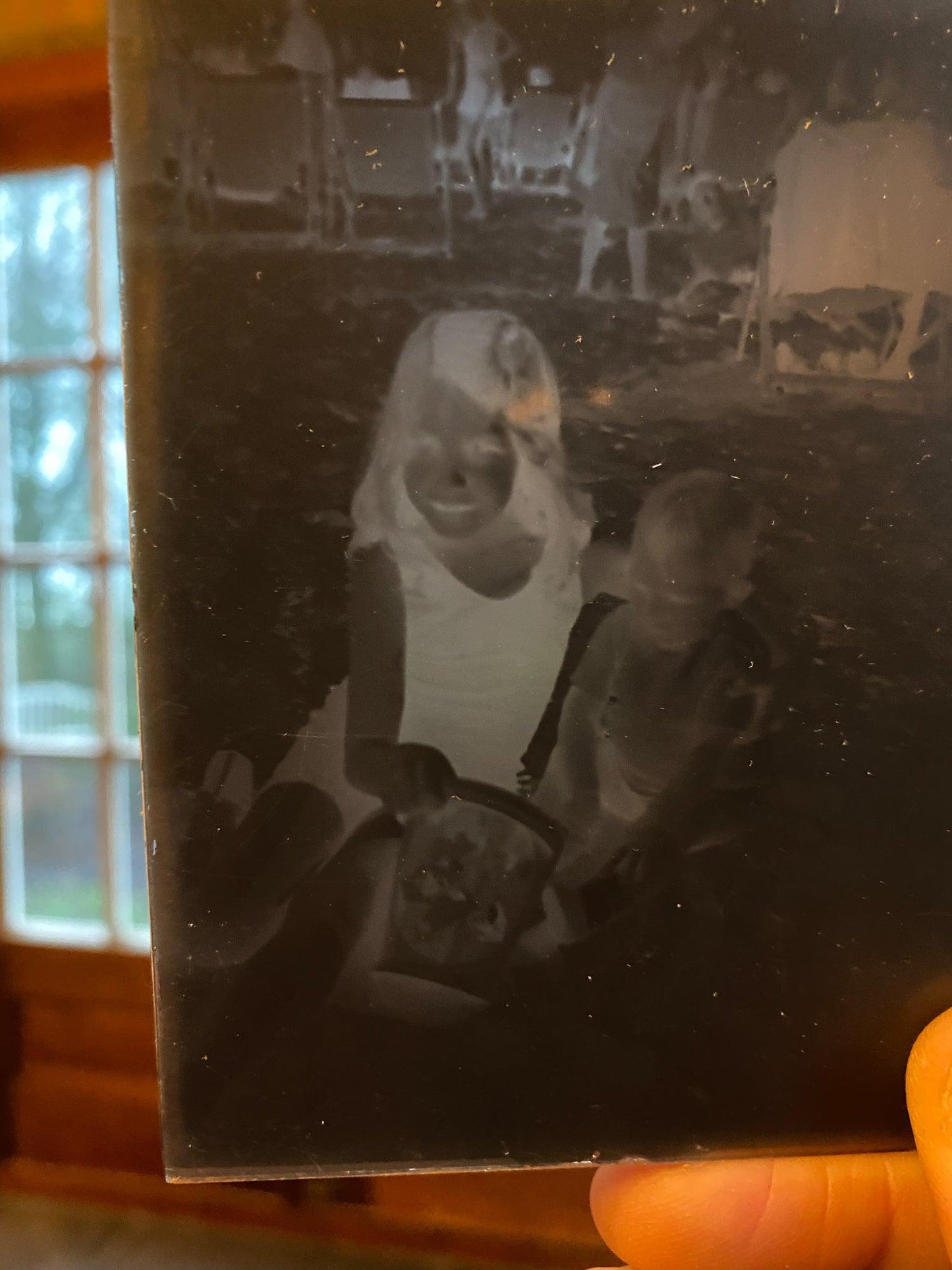 Oud doosje met glasnegatieven - Bamestra Curiosa