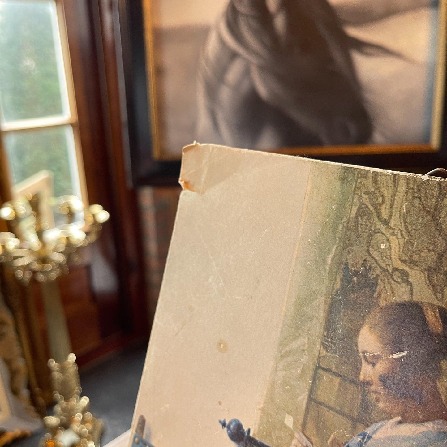 Paneeltje Johannes Vermeer - Bamestra Curiosa