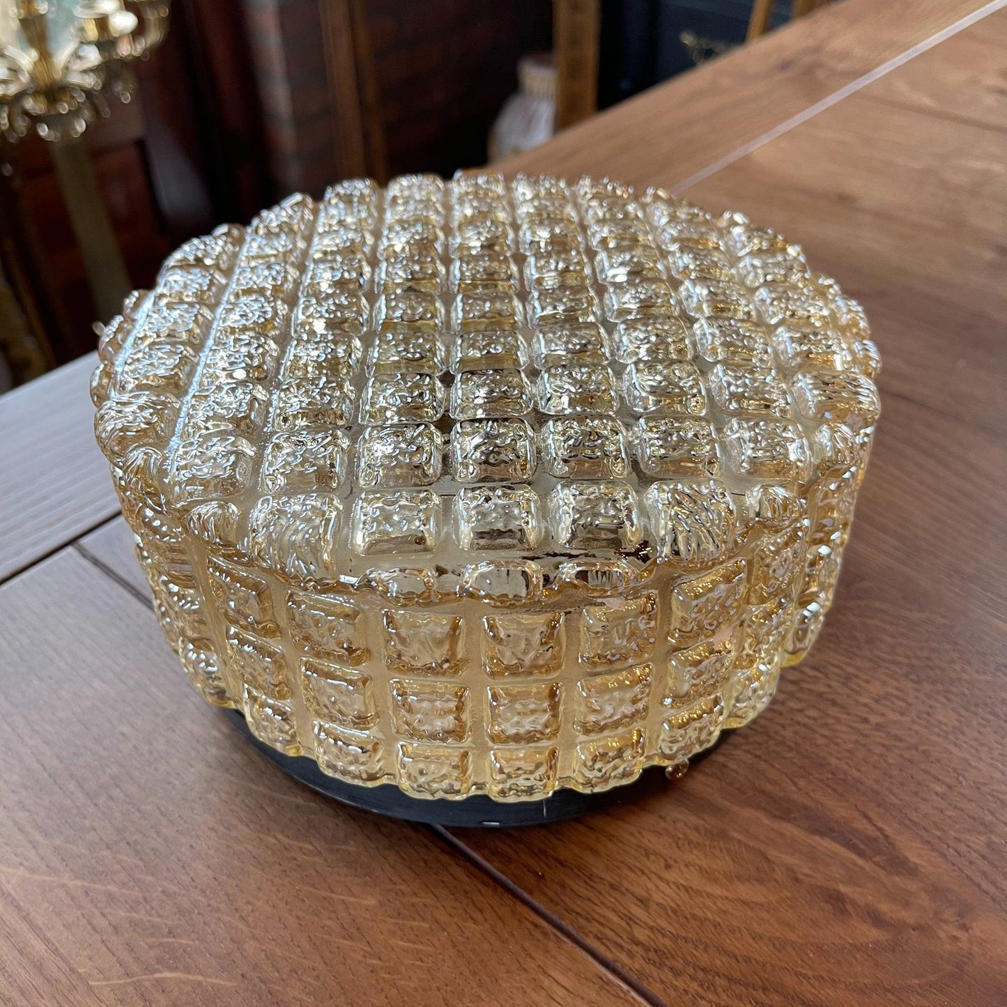 Plafonnière - Bamestra Curiosa