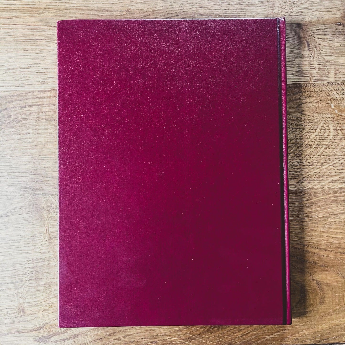 Rooie Oortjes (Di Sano) - Bamestra Curiosa