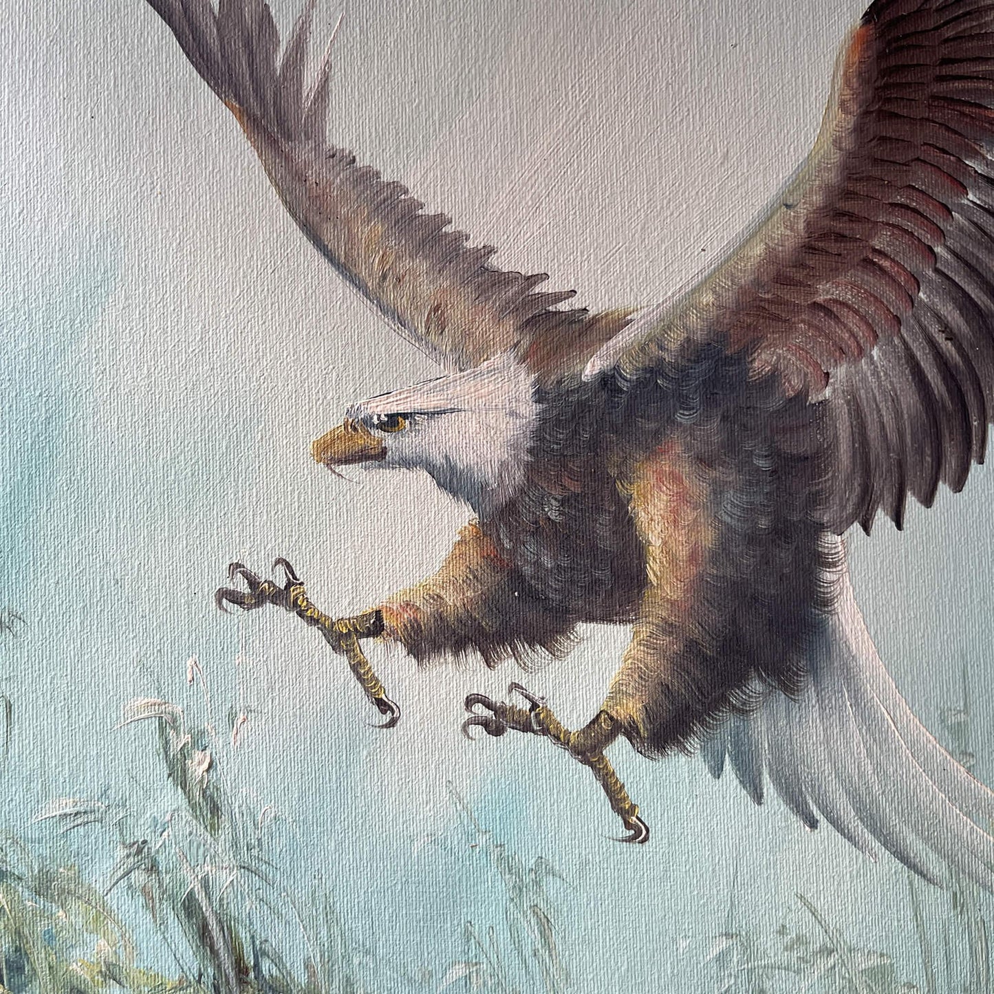 Schilderij Adelaar - Bamestra Curiosa