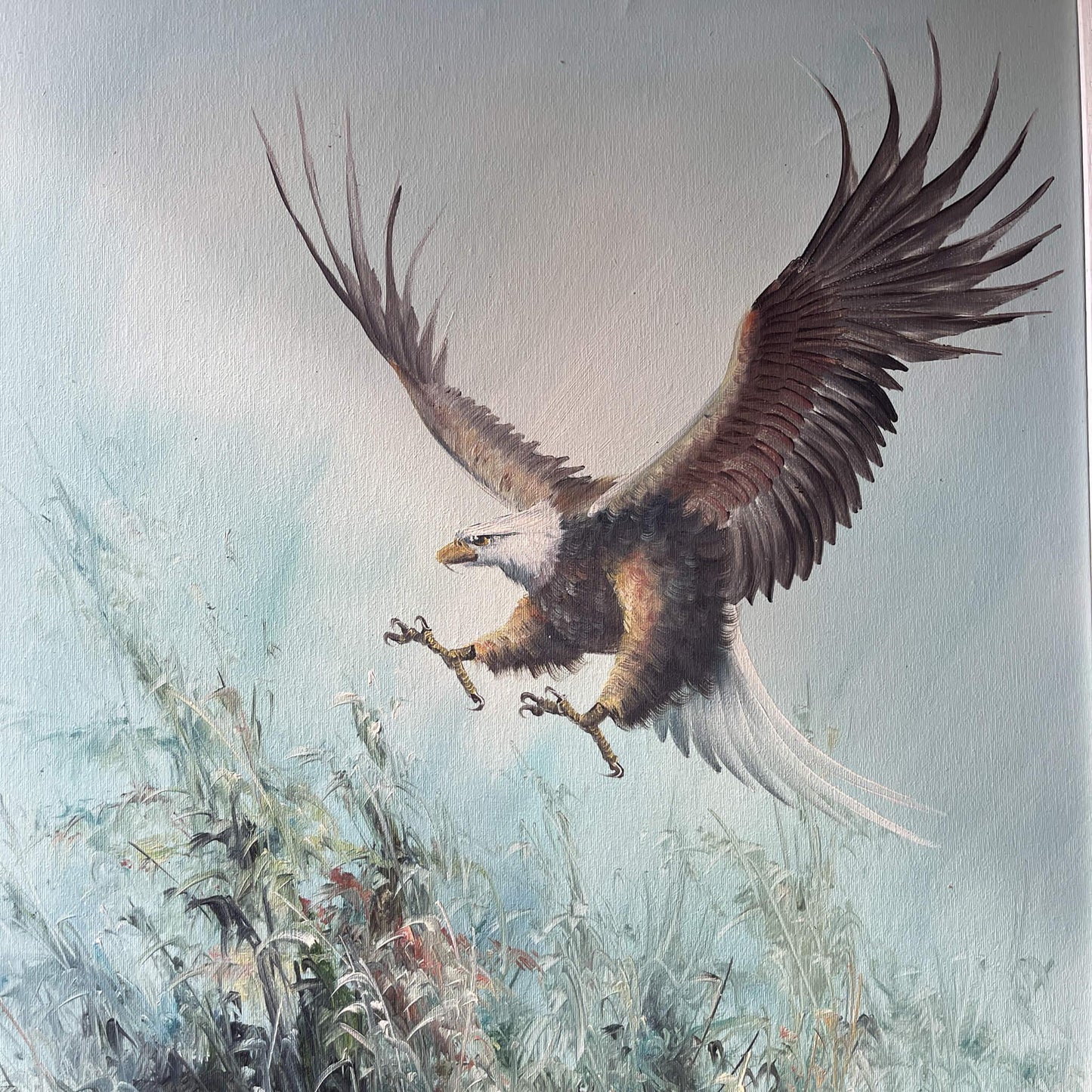 Schilderij Adelaar - Bamestra Curiosa