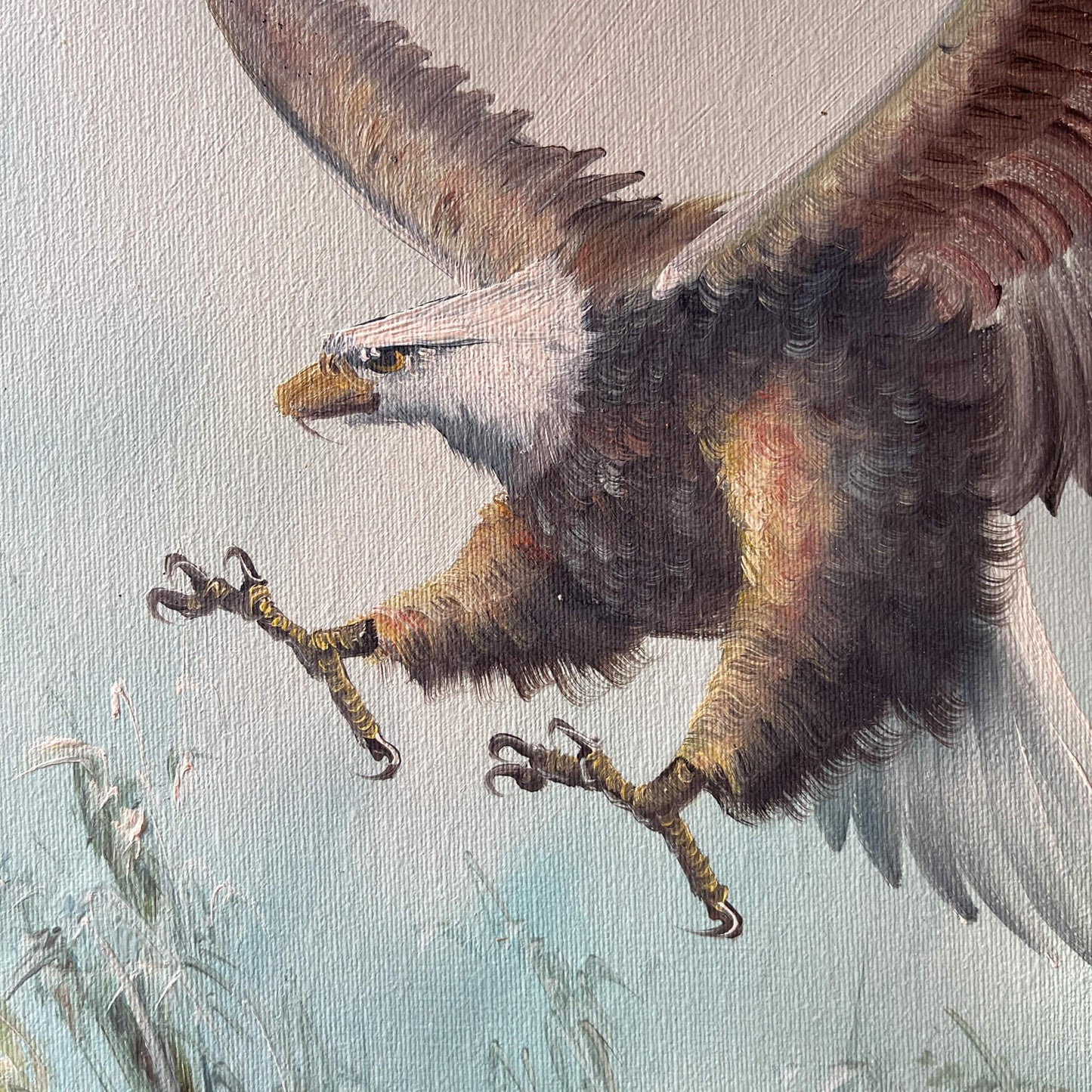 Schilderij Adelaar - Bamestra Curiosa