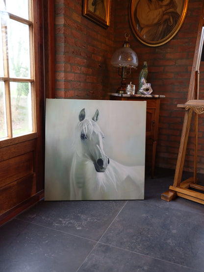 Schilderij wit paard op canvas - Bamestra Curiosa