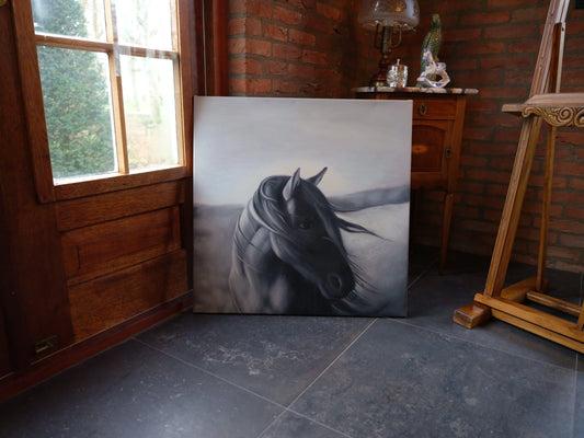 Schilderij zwart paard op canvas - Bamestra Curiosa