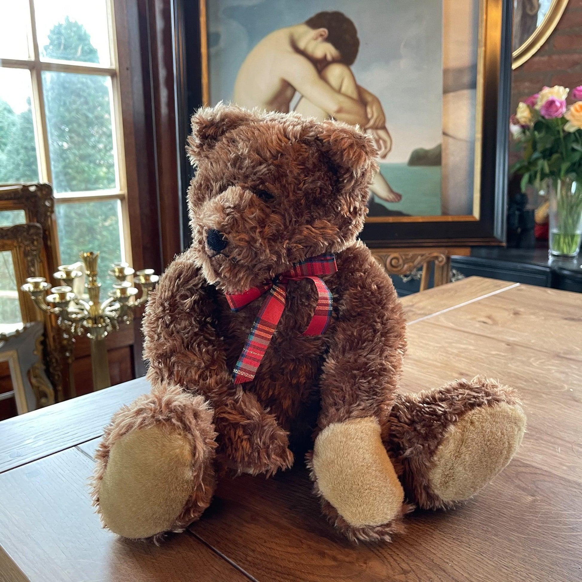 Teddybeer - Bamestra Curiosa