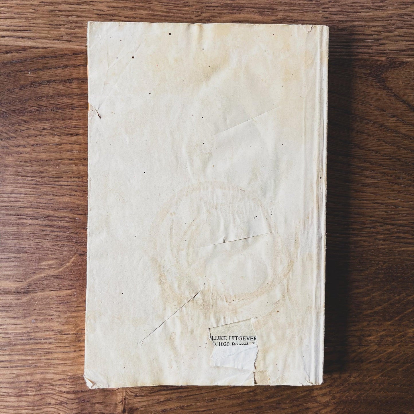 Terror Nr 244: Verdwenen Maagden - Bamestra Curiosa