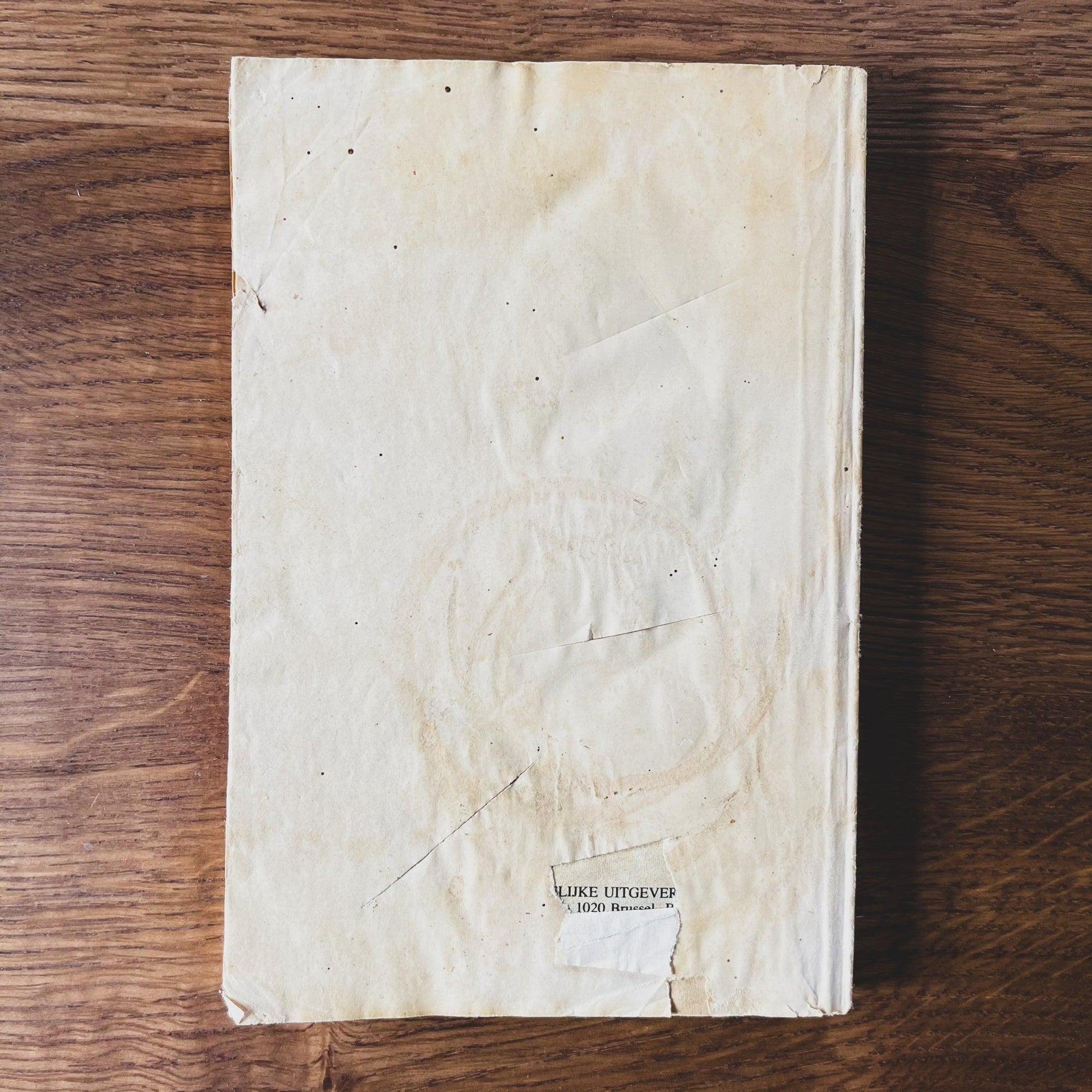 Terror Nr 244: Verdwenen Maagden - Bamestra Curiosa