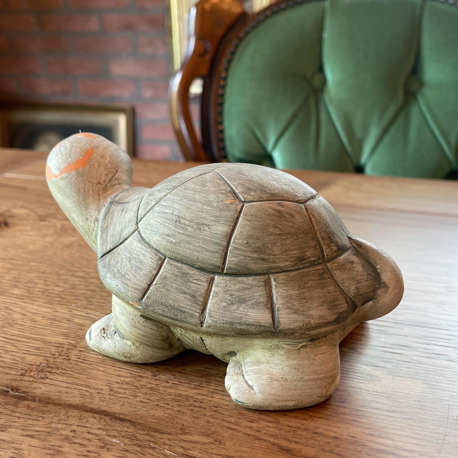 Aardewerk schildpad - Bamestra Curiosa