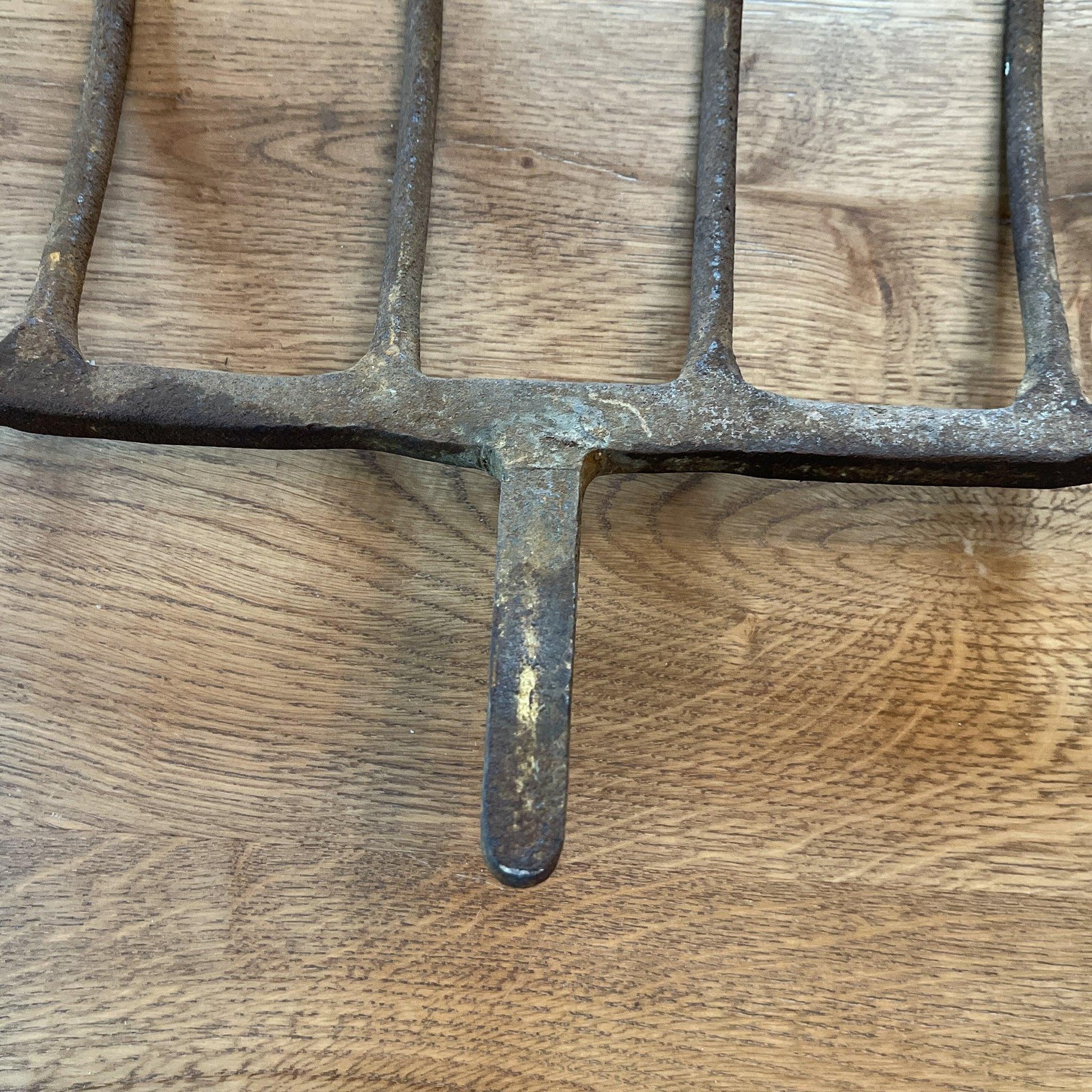 Antieke bietenvork - Bamestra Curiosa