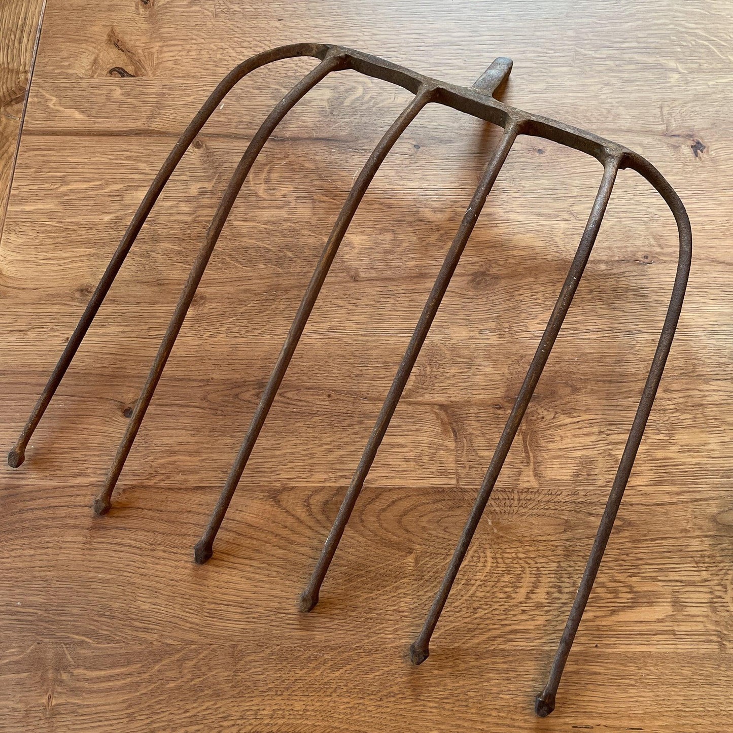 Antieke bietenvork - Bamestra Curiosa