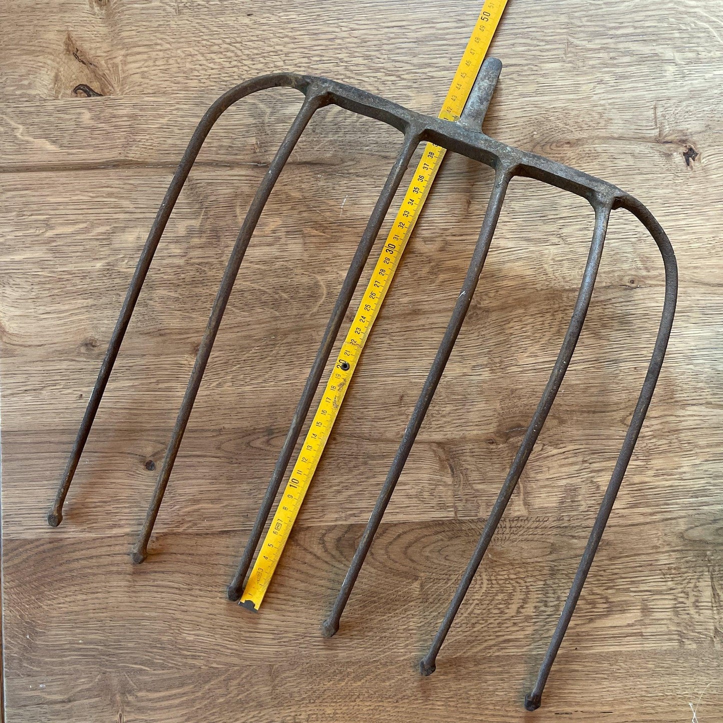 Antieke bietenvork - Bamestra Curiosa