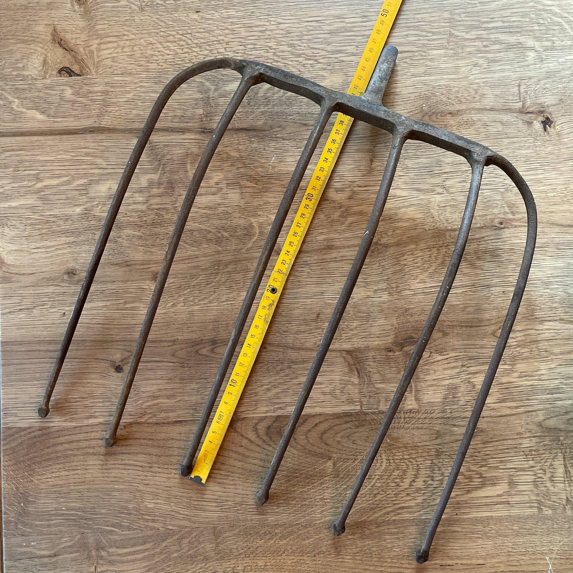 Antieke bietenvork - Bamestra Curiosa