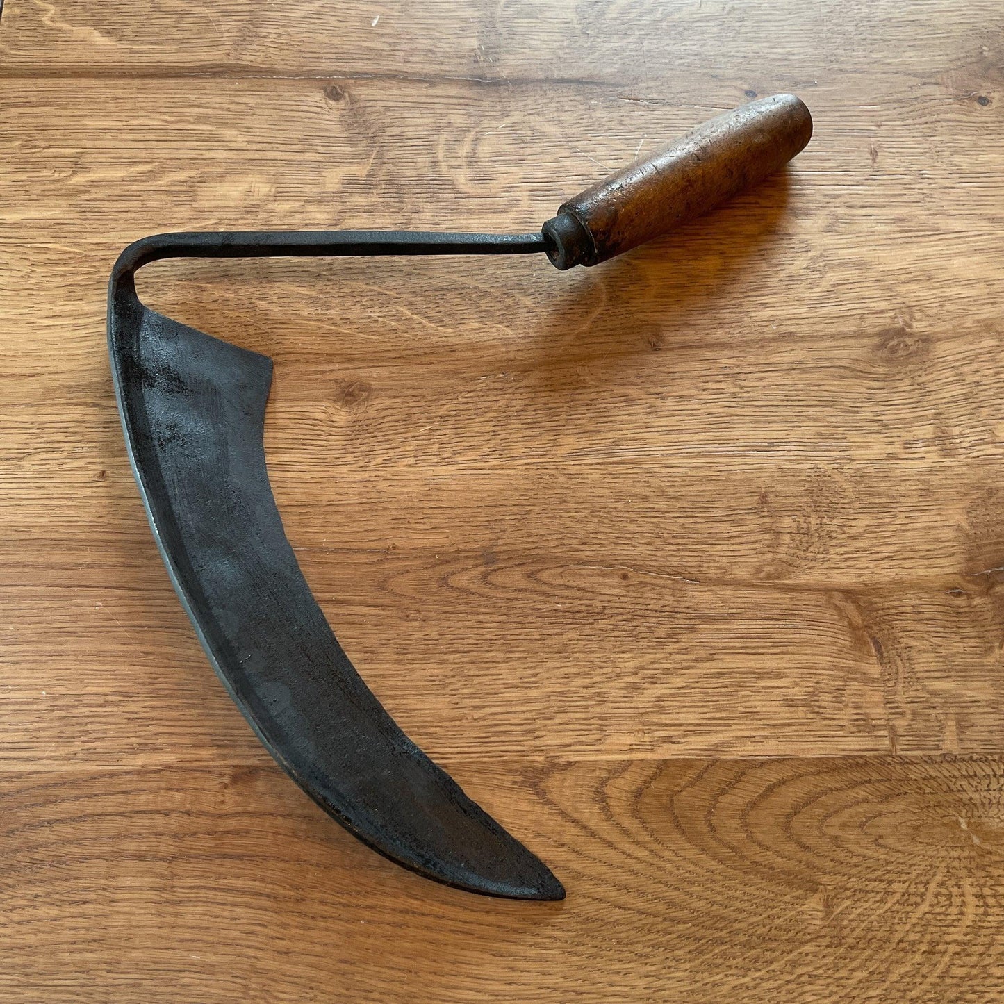 Antieke handzeis - Bamestra Curiosa