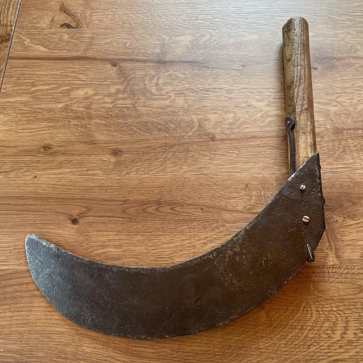 Antieke handzeis - Bamestra Curiosa