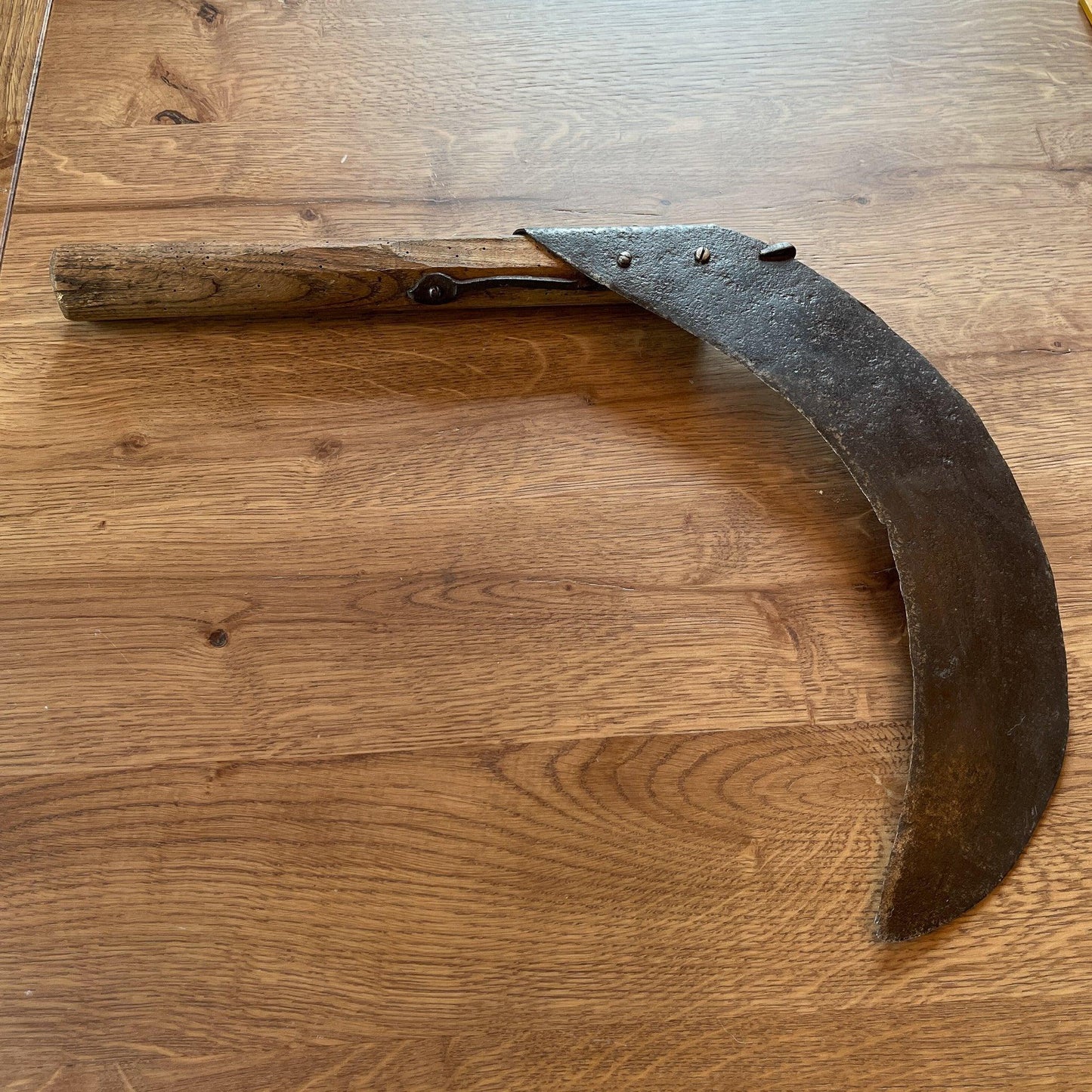 Antieke handzeis - Bamestra Curiosa