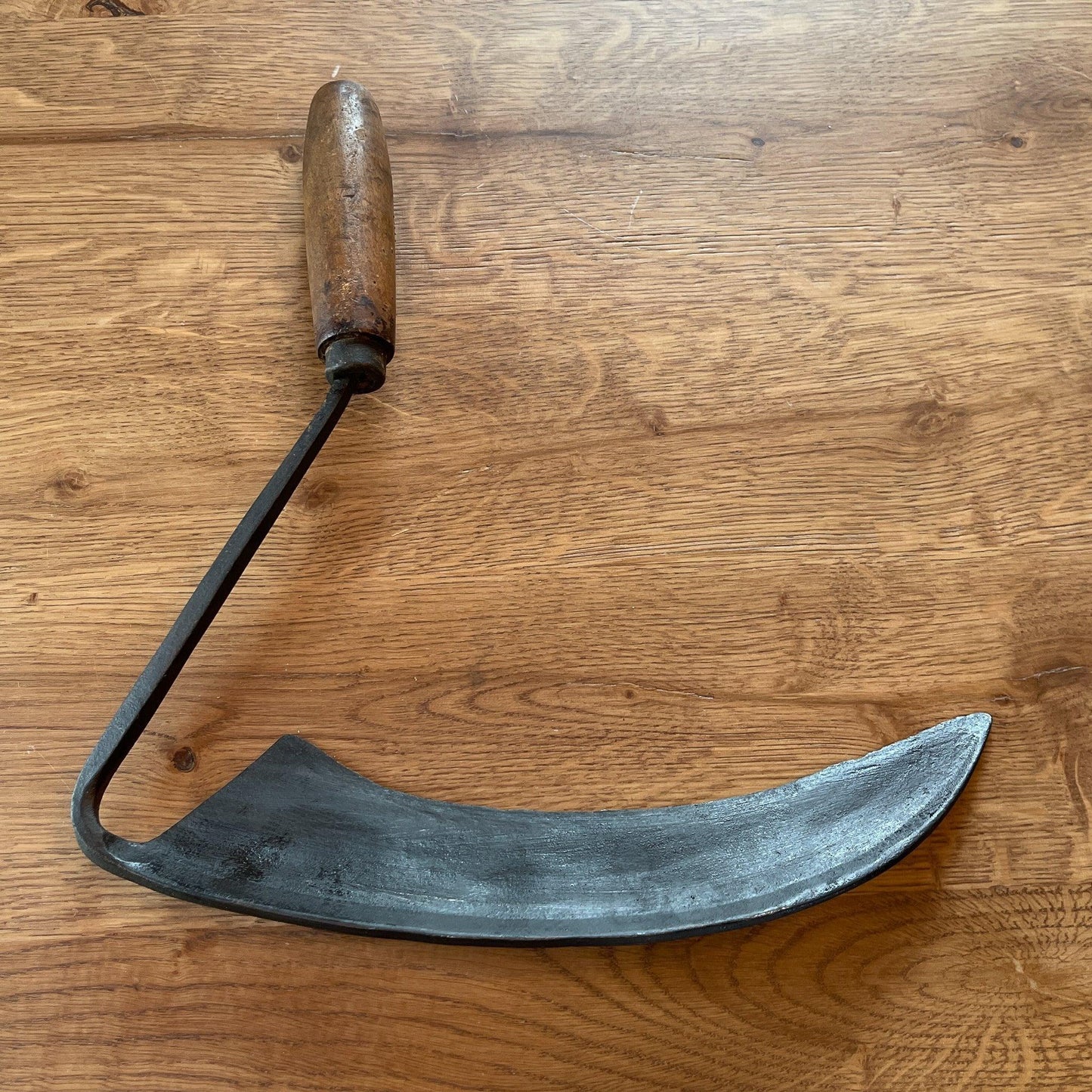 Antieke handzeis - Bamestra Curiosa