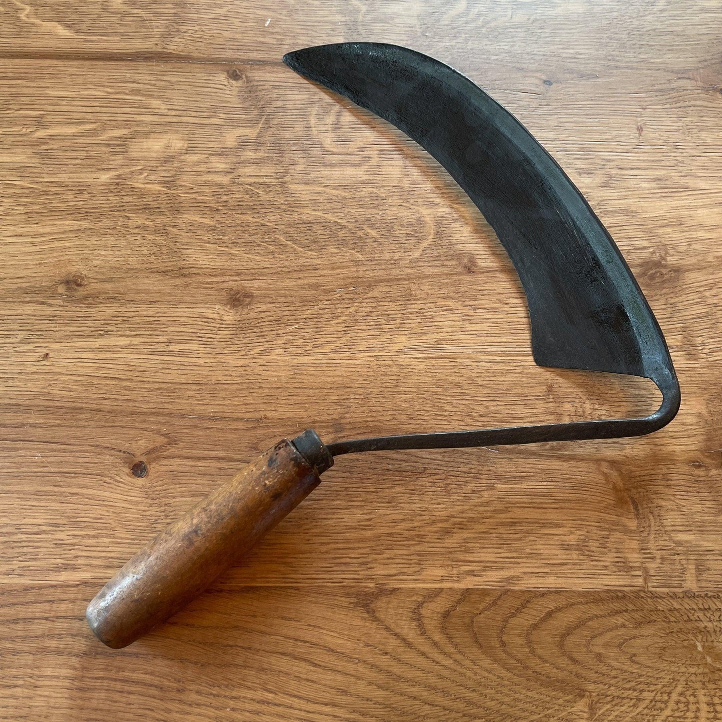 Antieke handzeis - Bamestra Curiosa