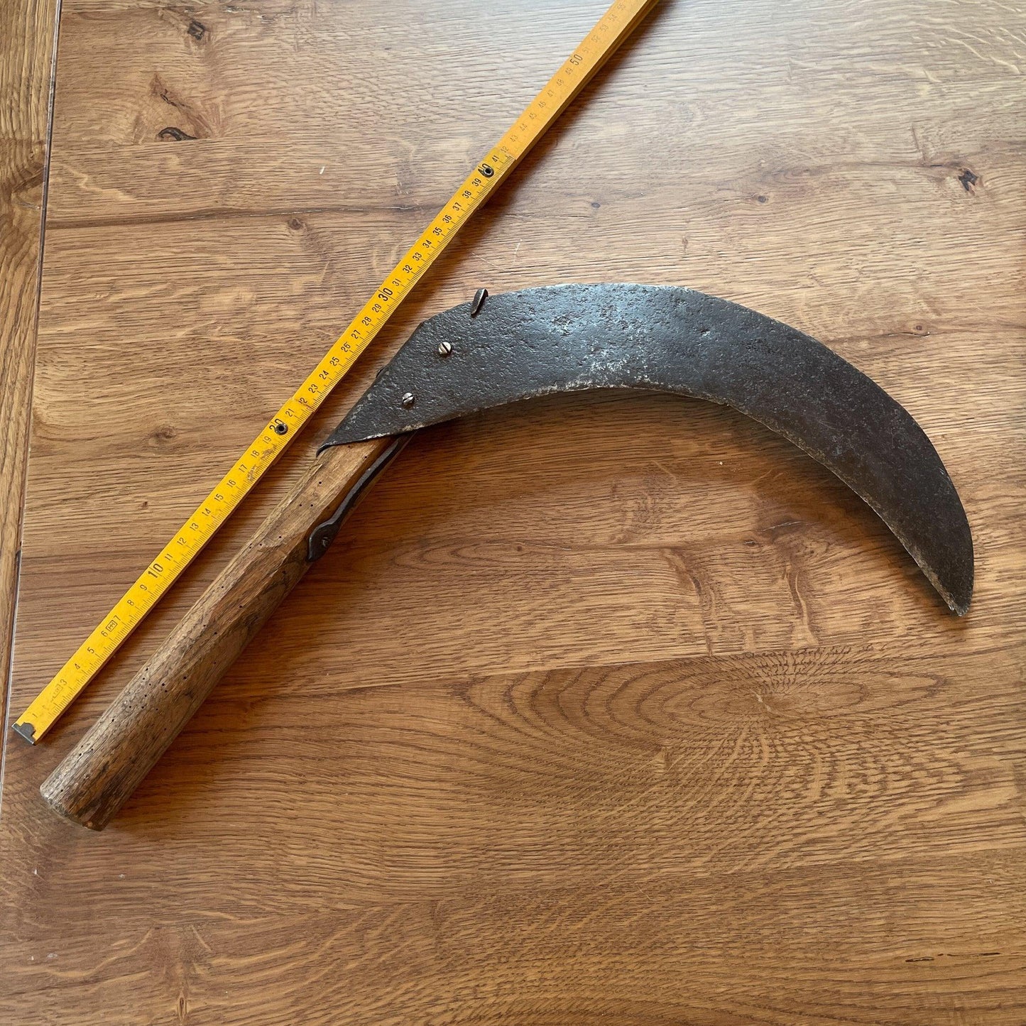 Antieke handzeis - Bamestra Curiosa