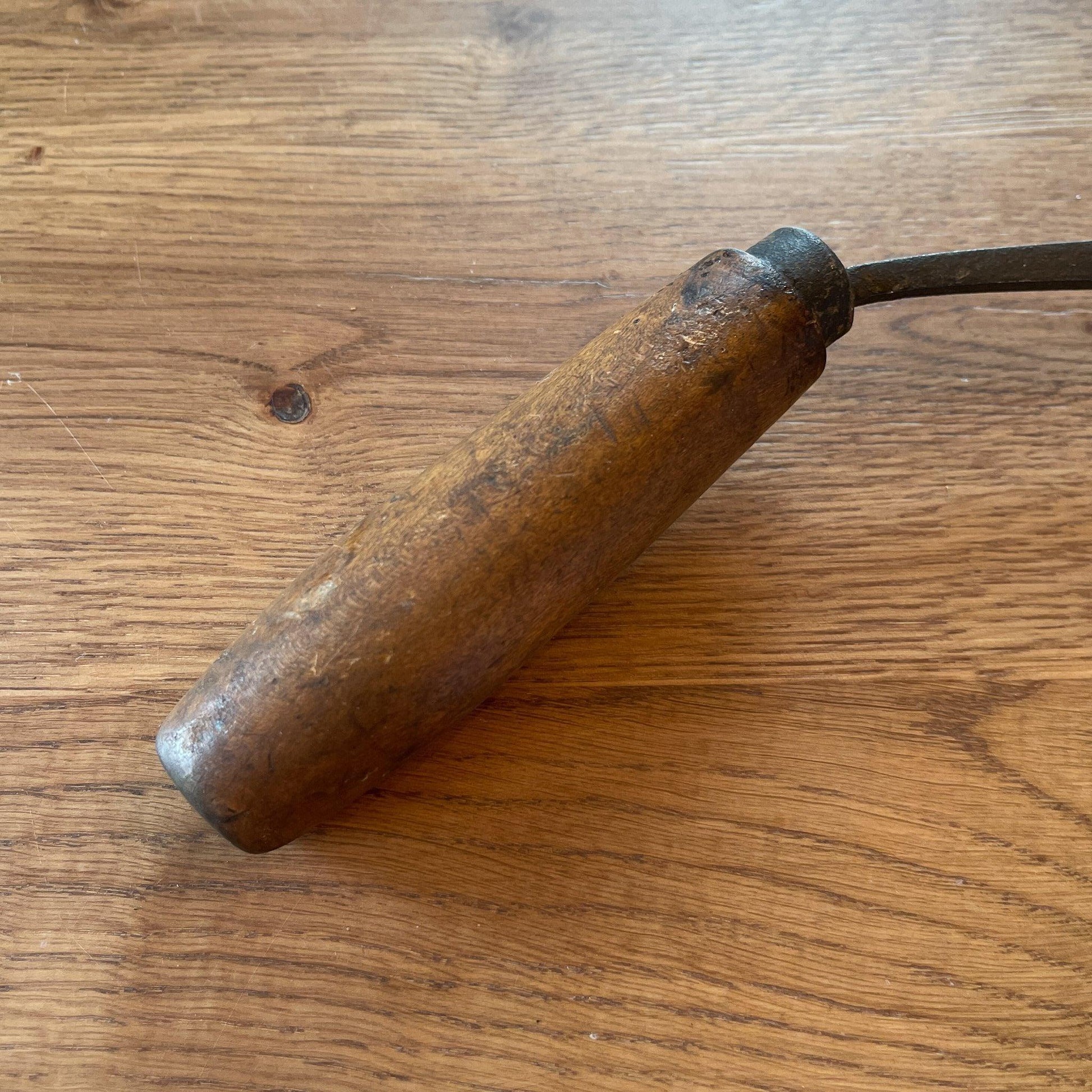 Antieke handzeis - Bamestra Curiosa