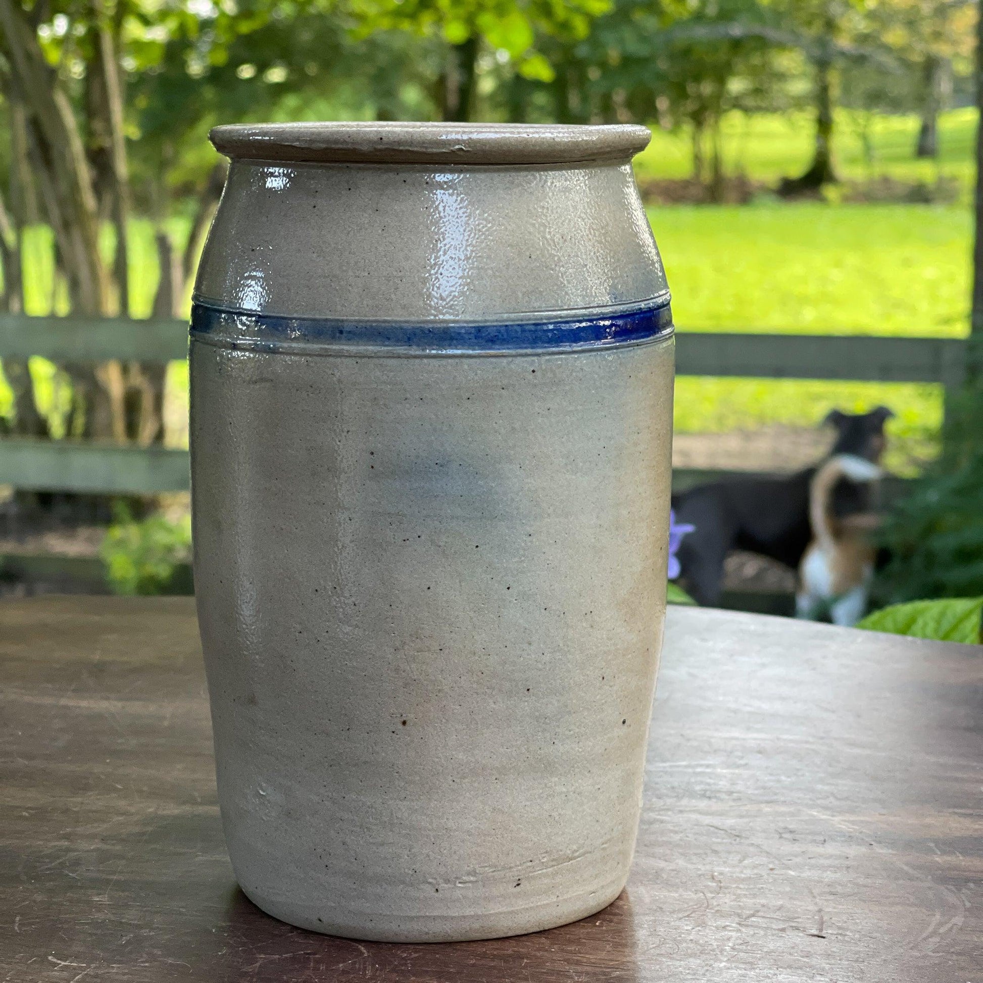 Antieke Keulse Ansjovis pot / bloempot / vaas - Bamestra Curiosa