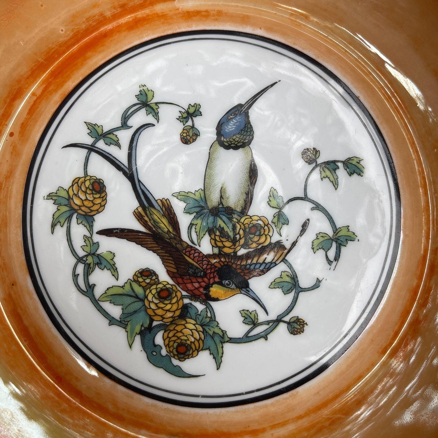 Antieke schaal met Kolibries (1910-1923) - Bamestra Curiosa