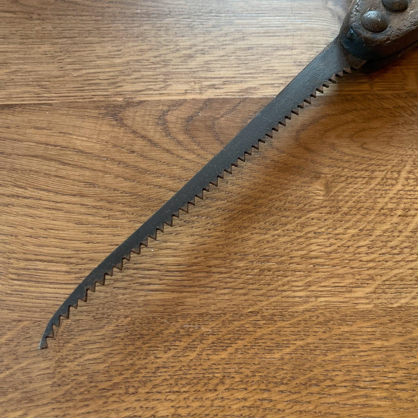 Antieke schrobzaag - Bamestra Curiosa