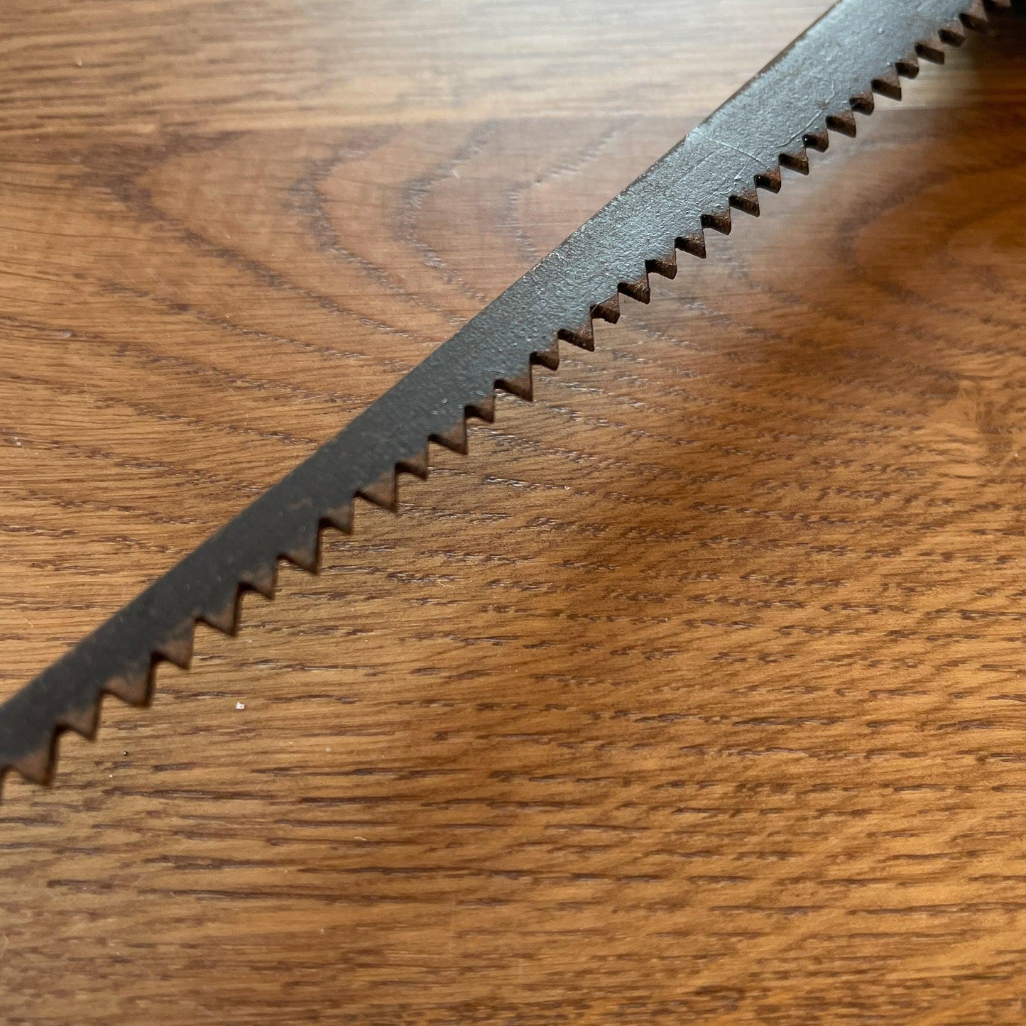 Antieke schrobzaag - Bamestra Curiosa