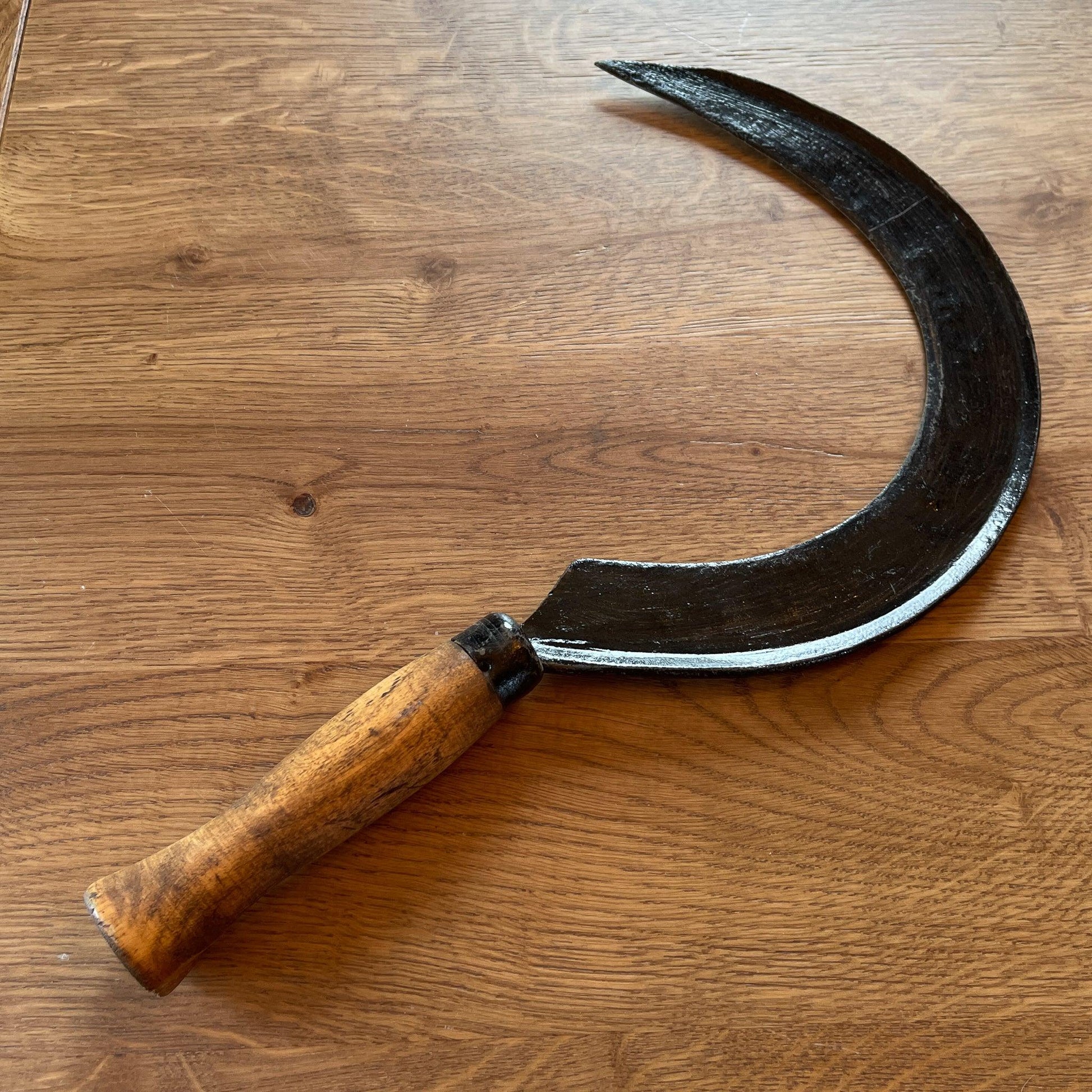 Antieke sikkel - Bamestra Curiosa