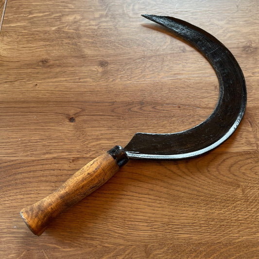 Antieke sikkel - Bamestra Curiosa