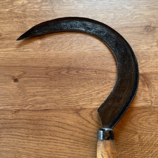 Antieke sikkel - Bamestra Curiosa