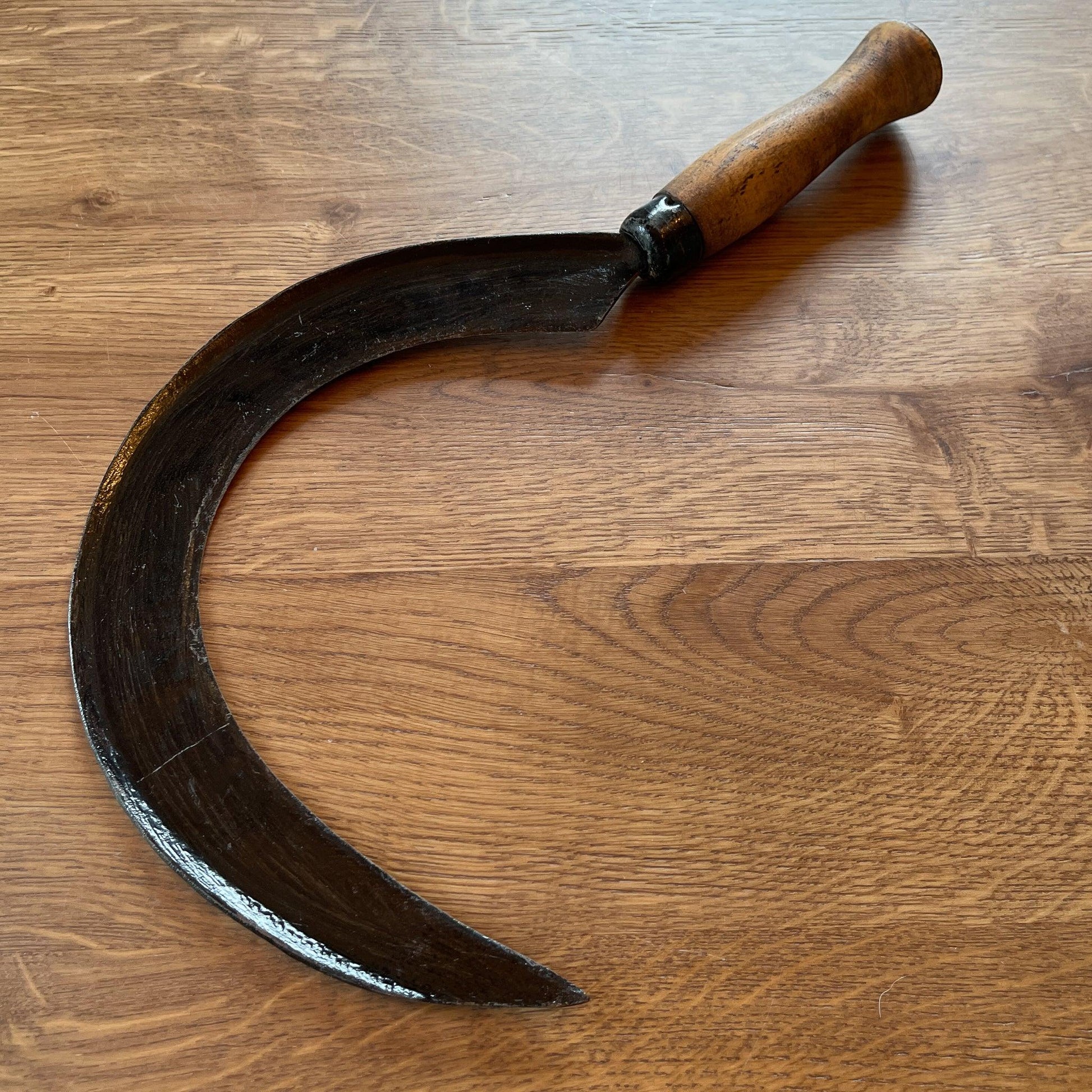 Antieke sikkel - Bamestra Curiosa