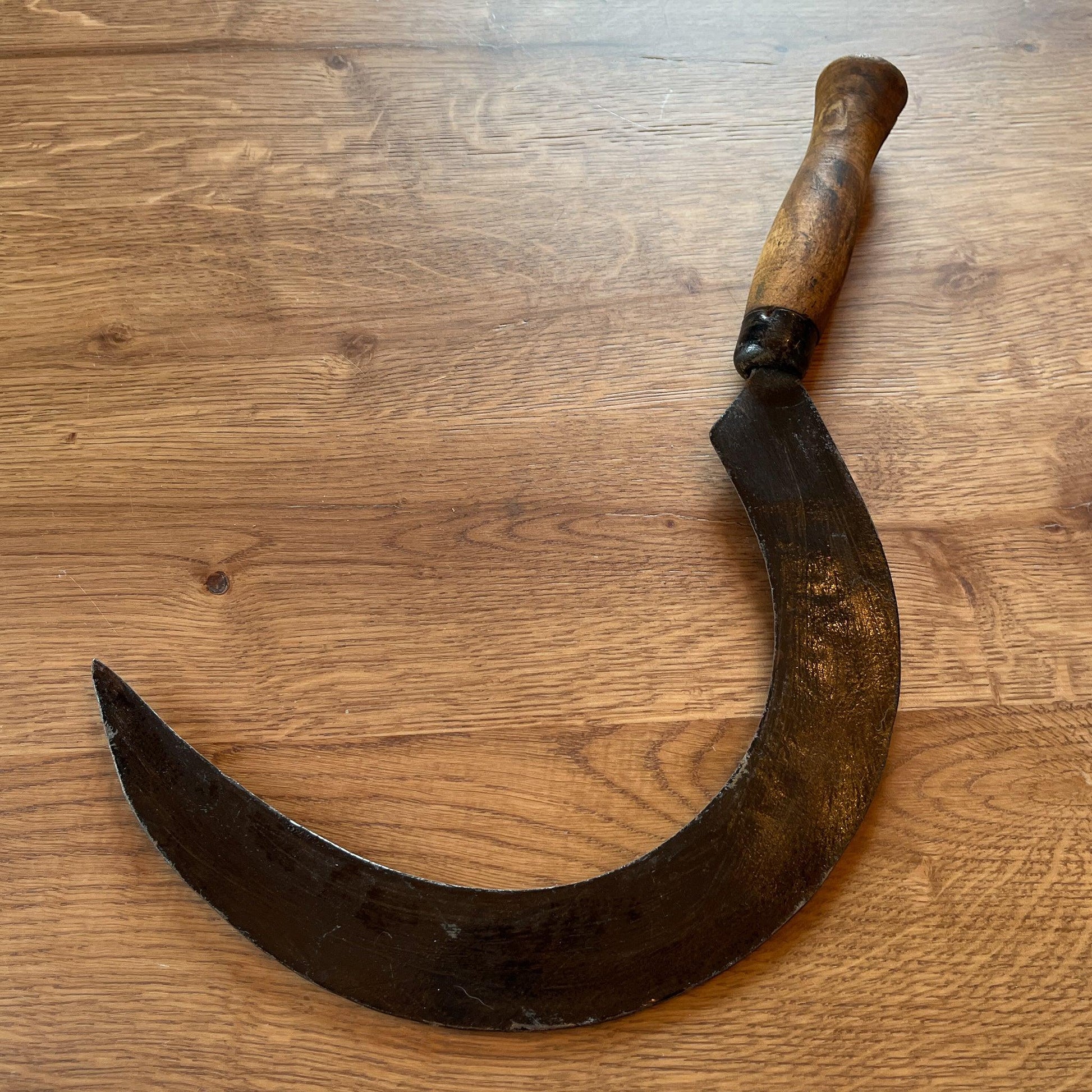 Antieke sikkel - Bamestra Curiosa