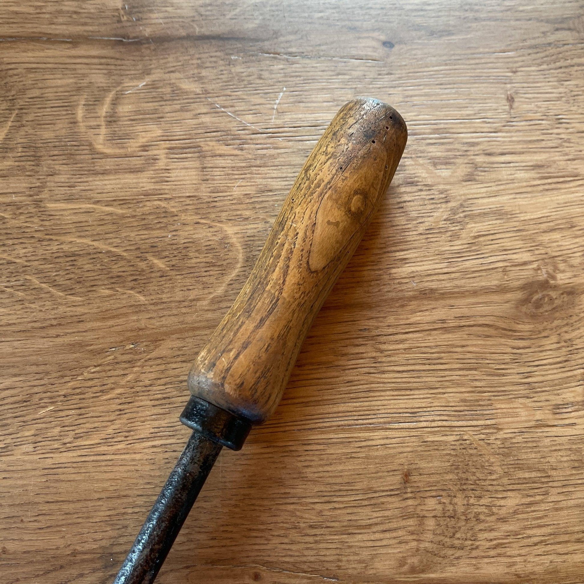 Antieke sikkel - Bamestra Curiosa