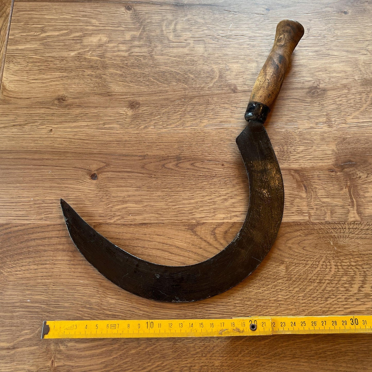 Antieke sikkel - Bamestra Curiosa