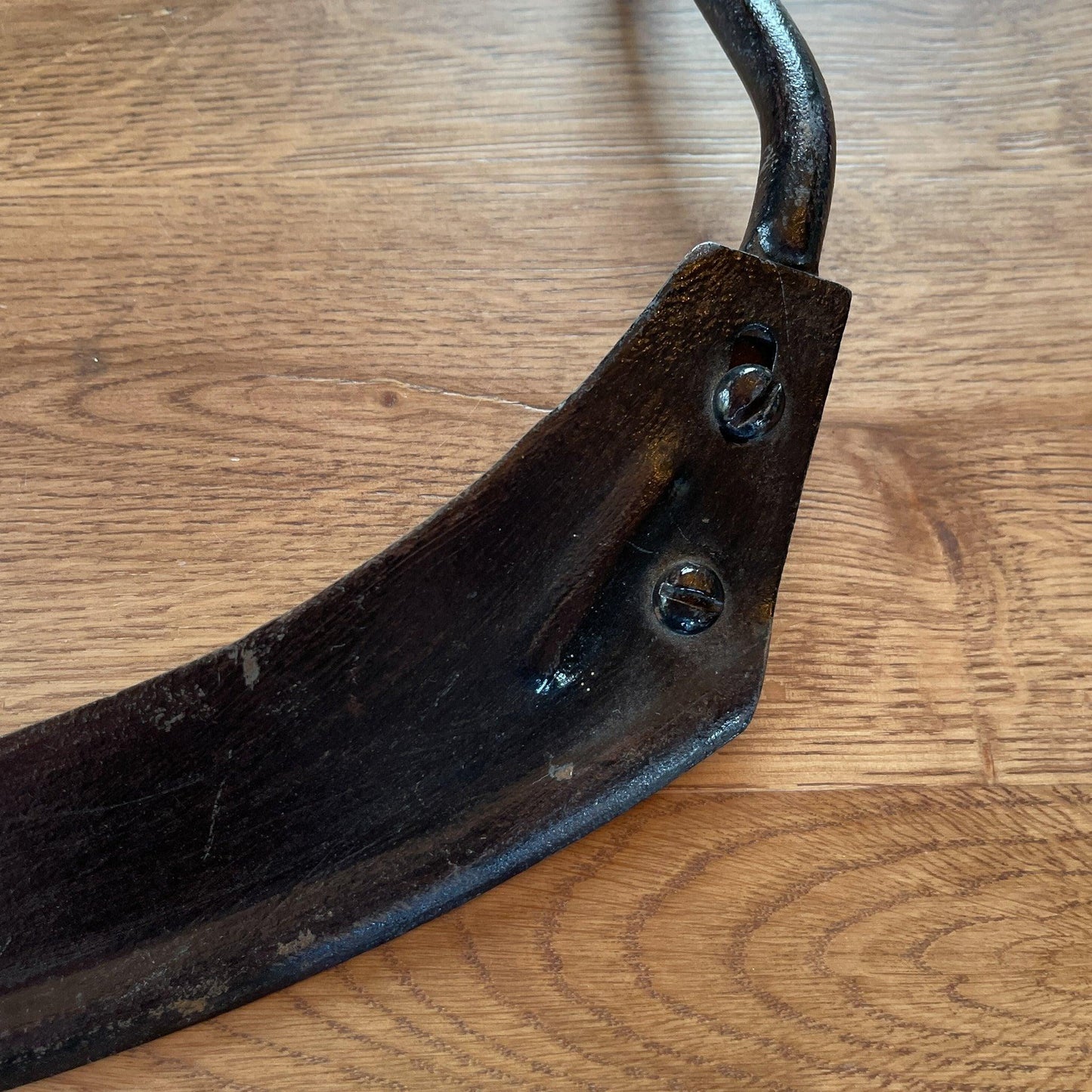 Antieke sikkel - Bamestra Curiosa