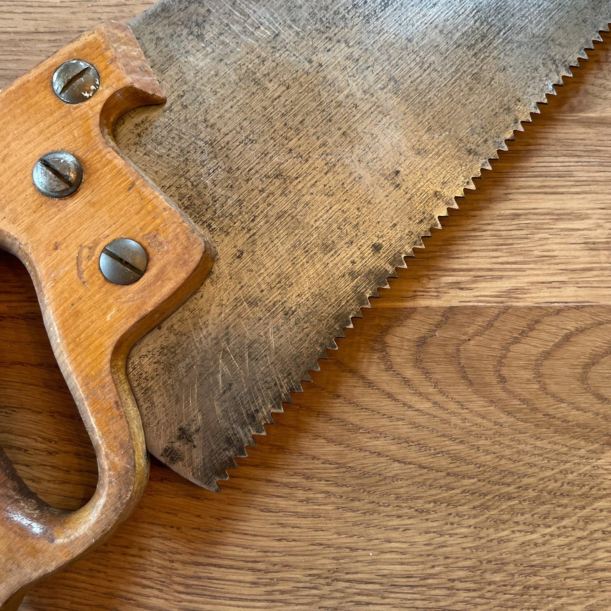 Antieke zaag - Bamestra Curiosa