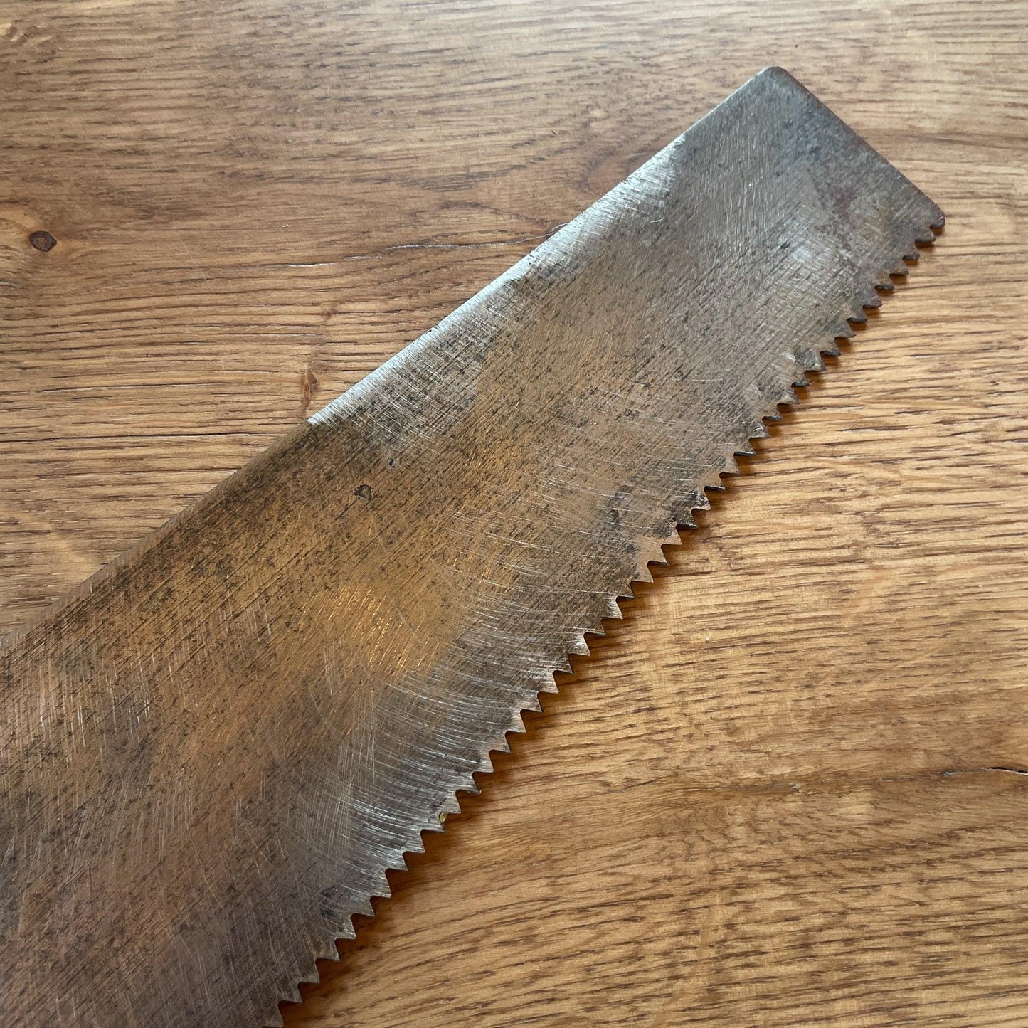 Antieke zaag - Bamestra Curiosa