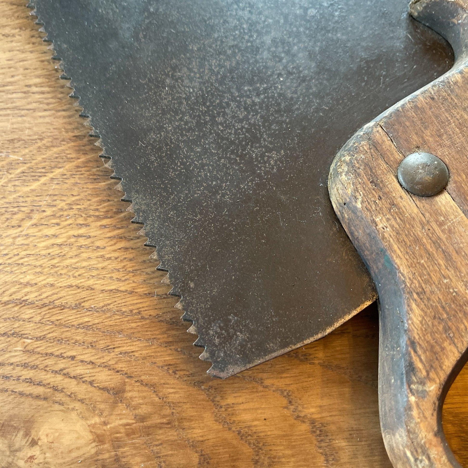 Antieke zaag - Bamestra Curiosa