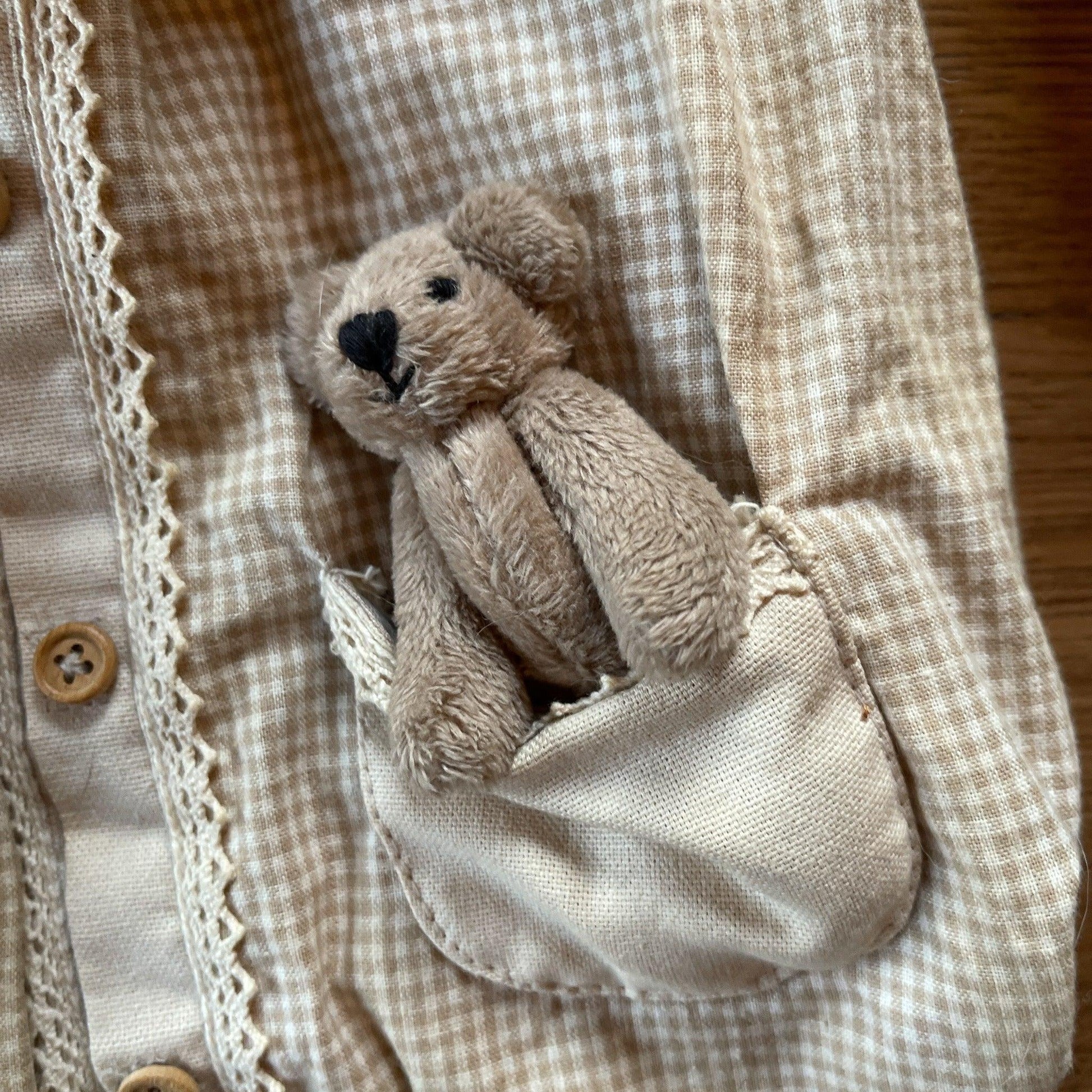 Beer - Bamestra Curiosa